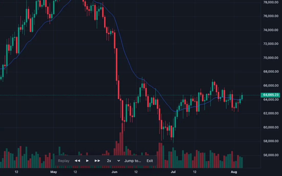 Bar replay on a Bitcoin chart, paused at a bar in August, with play, step and speed controls